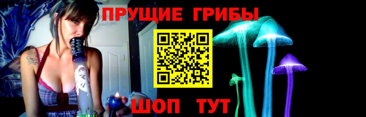МЕФ Можга